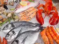 Bogactwo owoców morza: homary, krewetki, ryby, małże, ostrygi i ślimaki morskie na lodzie.