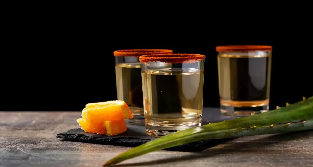 Trzy kieliszki z mezcalem, ozdobione solą i chili, obok pomarańczy i liścia agawy. Chcesz wiedzieć, mezcal co to?