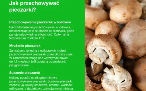 Jak przechowywać pieczarki? W lodówce, przez mrożenie lub suszenie. Świeże pieczarki najlepiej trzymać w szufladzie na warzywa.