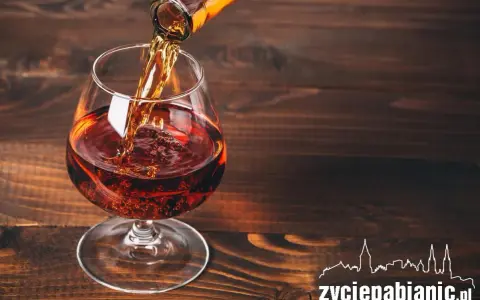 Brandy nalewana do kieliszka. Idealny trunek, z którym pić brandy? Degustuj powoli, delektując się smakiem.