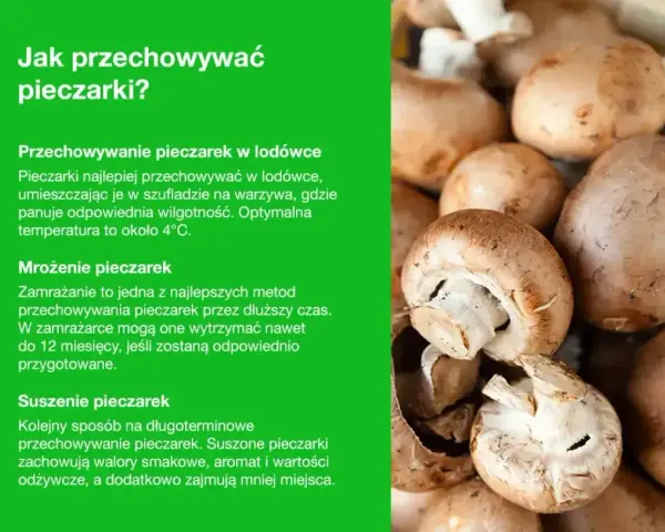 Jak przechowywać pieczarki? W lodówce, przez mrożenie lub suszenie. Świeże pieczarki najlepiej trzymać w szufladzie na warzywa.