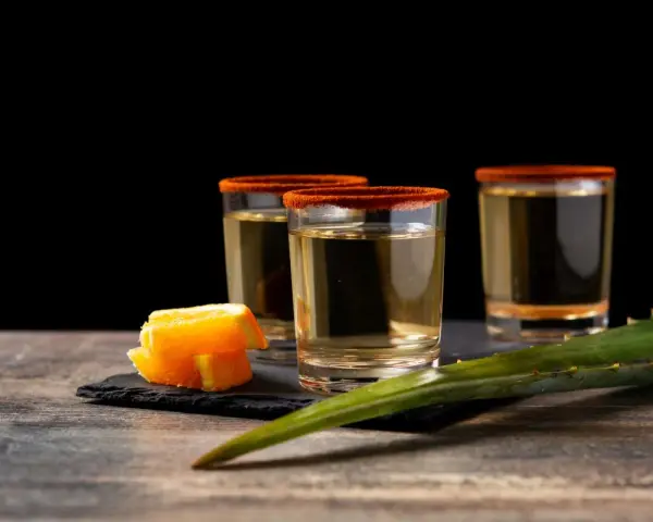 Trzy kieliszki z mezcalem, ozdobione solą i chili, obok pomarańczy i liścia agawy. Chcesz wiedzieć, mezcal co to?