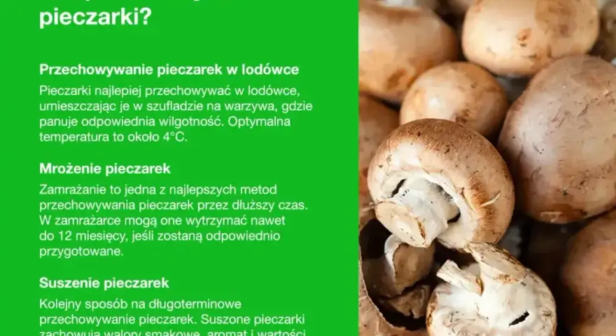 Jak przechowywać pieczarki? W lodówce, przez mrożenie lub suszenie. Świeże pieczarki najlepiej trzymać w szufladzie na warzywa.