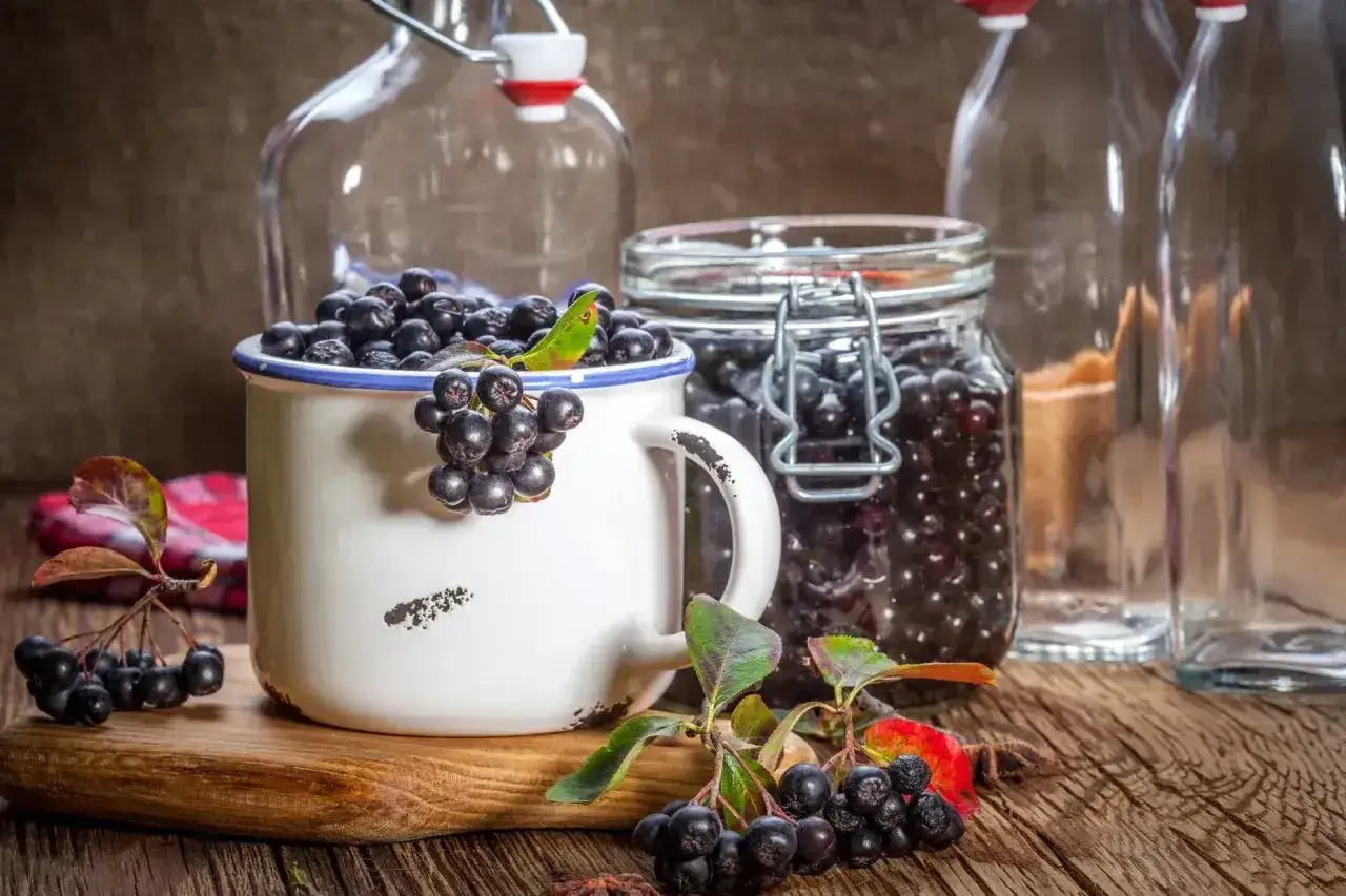 Aronia w słoiku i kubku, gotowa do przygotowania nalewki. W tle puste butelki, idealne na domowe przetwory.