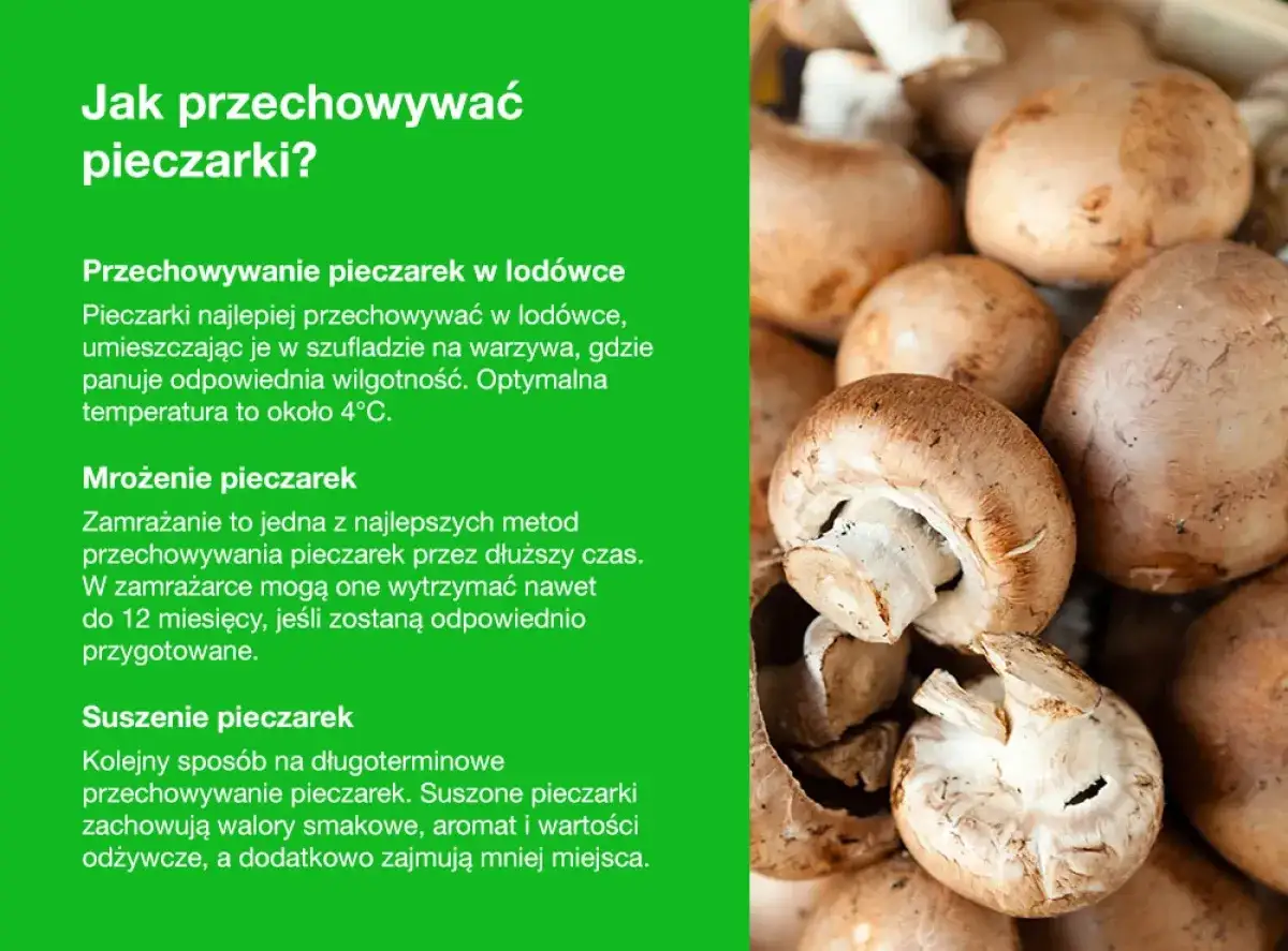 Jak przechowywać pieczarki? W lod&oacute;wce, przez mrożenie lub suszenie. Dowiedz się, jak zachować ich świeżość i smak na dłużej.